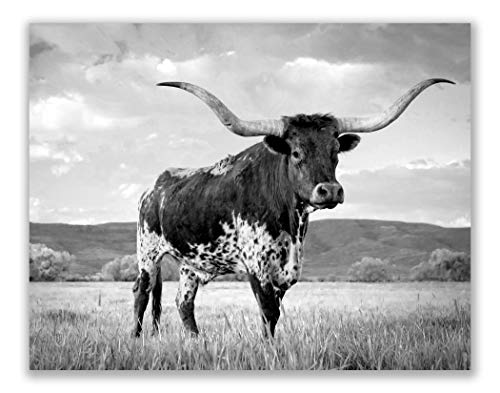 Black and White Texas Longhorn Prints - Set of 2 (11x14 Inches) Glossy Minimalist Monochromatic Barn Farm Cow Western Rustic Farmhouse Wall Art Decor