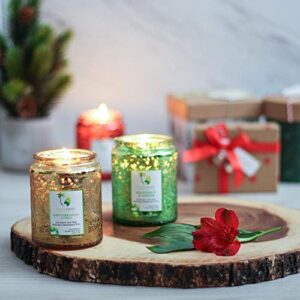 EcoAroma Sea Salt & Citrus Scented Organic Coco-Soy Jar Candles Hand Poured Natural Flower Extracted Fragrance Oils Botanical Candles for Aromatherapy Home Scent & Xmas Gifts 12 Oz