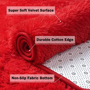 DETUM Soft Red Bedroom Area Rugs 3' X 5' Fluffy Fur Rug for Living Room Kids Room Nursery Room Shag Plush Floor Carpet Indoor Non-Slip Mat Modern Home Decor, 3x5 Ft, Red