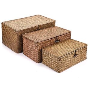hipiwe set of 3 natural seagrass storage baskets with lid – large handwoven wicker storage bins rectangular household organizer boxes shelf wardrobe organizer, coffee