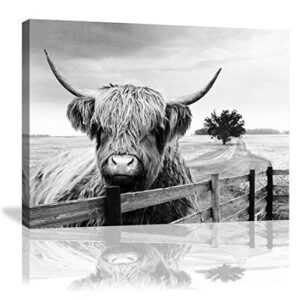 highland cow canvas black and white landscape pasture hairy cow animal wall art pictures canvas wall art farmhouse prints photo contemporary cow decor paintings home decoration artwork 12″x16″