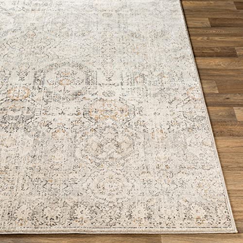 Mark&Day Area Rugs, 8x10 Geelbroek Updated Traditional Tan/Ivory Area Rug, Beige/Gray/Black Carpet for Living Room, Bedroom or Kitchen (7'10" x 10'2")