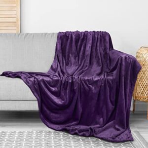 utopia bedding fleece blanket throw size purple 300gsm luxury blanket for couch sofa bed anti-static fuzzy soft blanket microfiber (60×50 inches)