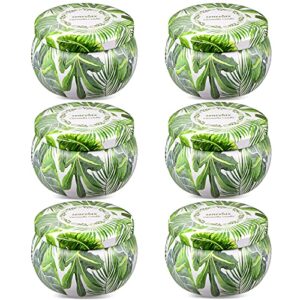 citronella candles outdoor indoor 6 pack 26oz scented candles with pure citronella essential oil and natural soy wax long lasting burning for home gardon patio balcony