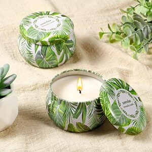 Citronella Candles Outdoor Indoor 6 Pack 26oz Scented Candles with Pure Citronella Essential Oil and Natural Soy Wax Long Lasting Burning for Home Gardon Patio Balcony