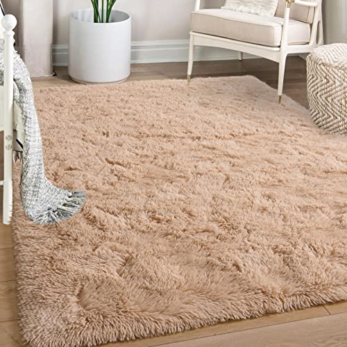 Balacho Modern Soft Shaggy Rugs Fluffy Bedroom Carpet 4x6 Feet Beige, Indoor Shag Fuzzy Area Rug for Living Room Nursery Girls Dorm Apartment Plush Decor, Kids Anti-Skid Play Floor Mat