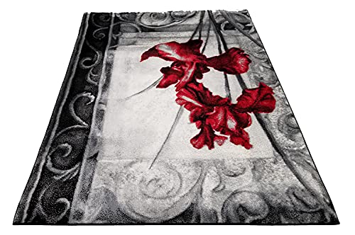 HT Design Rectangular Area Rug for Living Room, Floral Black and Red 7x10 Modern Rugs, Easy to Clean, Pet Friendly Indoor Carpet for Living Room