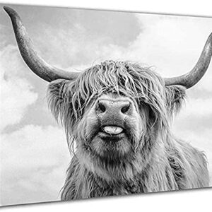 cow painting,cow pictures wall decor canvas Canvas Print Wall Art Black and White Freedom Highland Cow Pictures Painting for Living Room Bedroom Modern Home Decor Artwork-No Frame…