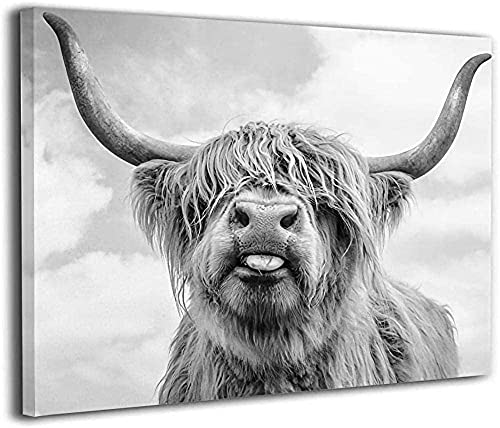 cow painting,cow pictures wall decor canvas Canvas Print Wall Art Black and White Freedom Highland Cow Pictures Painting for Living Room Bedroom Modern Home Decor Artwork-No Frame…