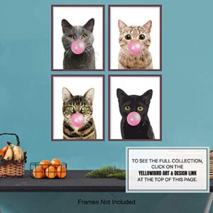 Black Cat, Gray Cat, Tabby Cat Wall Decor - Cat Lover Gifts for Women - Cute Kitten, Kitty Bubble Gum Wall Art - Room Decoration for Girls Bedroom, Kids Room, Living Room, Nursery - 8x10 Poster Set