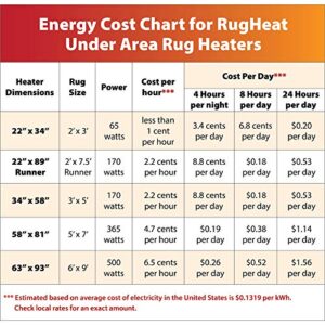 RugHeat Under Rug Heating Mat - Portable Electric Radiant Floor Heater for Area Rugs, Size 22" x 34" (Fits Under a 2' x 3' Rug)