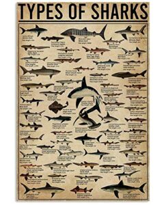 types of shark metal tin sign nowledge graph fun world education science classroom infographic poster painting for great gifts and decorative door wall school farm hospital retro poster 12×8 inch