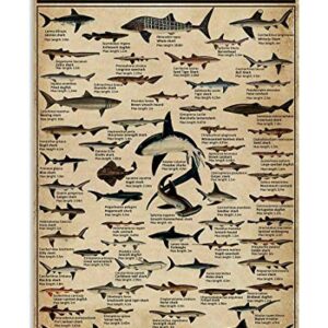 Types of Shark Metal Tin Sign nowledge Graph Fun World Education Science Classroom Infographic Poster Painting for Great Gifts and Decorative Door Wall School Farm Hospital Retro Poster 12x8 Inch