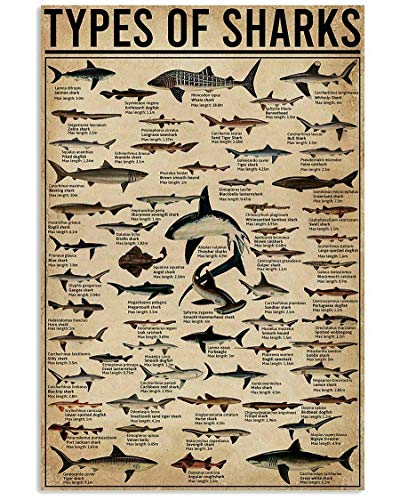 Types of Shark Metal Tin Sign nowledge Graph Fun World Education Science Classroom Infographic Poster Painting for Great Gifts and Decorative Door Wall School Farm Hospital Retro Poster 12x8 Inch