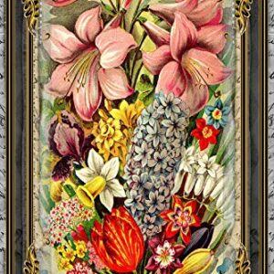 Graman Floral Vintage Seed Packet Metal Sign Flower Painting Vintage Tin Sign Country Home Decor for Home, Living Room, Kitchen,Bathroom Decoration 8X12Inch