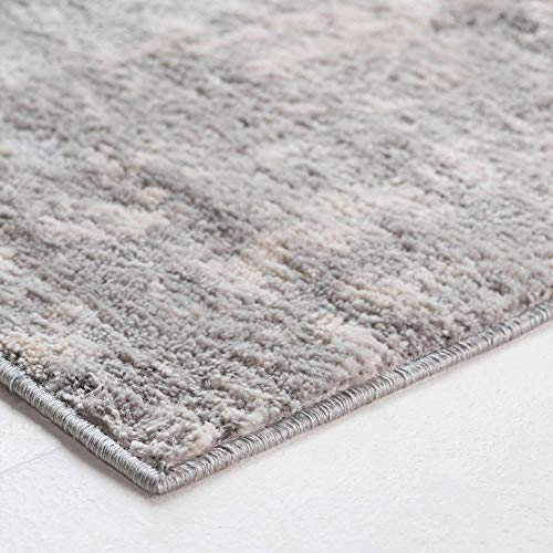 Rugs.com Caspian Collection Area Rug – 4' x 6' Gray Low-Pile Rug Perfect for Entryways, Kitchens, Breakfast Nooks, Accent Pieces