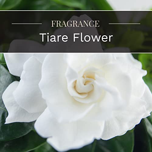 Candle-lite Premium Tiare Flower Scent, 14 oz. 3-Wick Aromatherapy Candle with up to 45 Hours of Burn Time, White