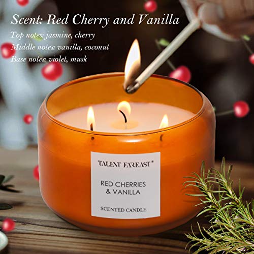 TALENT FAREAST Red Cherry & Vanilla Highly Scented Candle for Home 16 OZ Aromatherapy Candles Relaxing Enhanced Aroma Luxury Gift 40 Hour Long Lasting Natural Soy Wax Premium Fragrance Glass Candle