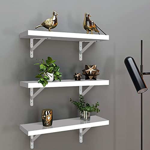 CITLOW White Floating Shelves Set of 3,Wall Shelves for Home Living Room Bedroom Study Decoration.