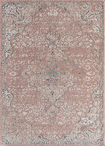 Rugs America Hailey Collection Vintage Transitional Area Rug - Ideal for Living Space, Living Room, Dining Room, Bedroom and Many More (8' x 10' Oval, Pink Amaranth)