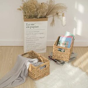 StorageWorks Water Hyacinth Storage Baskets Set