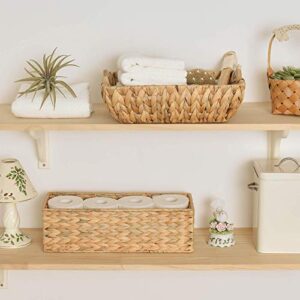 StorageWorks Water Hyacinth Storage Baskets Set