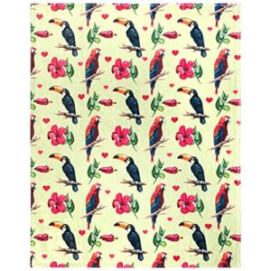 tropical birds throw blanket, adorable super-soft extra-large parrot and toucan blanket for girls, women and children, fleece tropical bird blanket (50”in x 60”in) warm and cozy throw for bed or couch