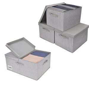 GRANNY SAYS Bundle of 1-Pack Extra Large Rectangle Storage Bins & 3-Pack Large Rectangle Closet Storage Bins with Lids