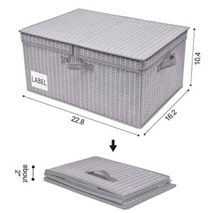 GRANNY SAYS Bundle of 1-Pack Extra Large Rectangle Storage Bins & 3-Pack Large Rectangle Closet Storage Bins with Lids