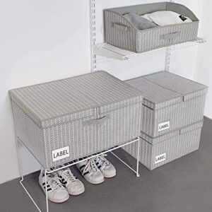 GRANNY SAYS Bundle of 1-Pack Extra Large Rectangle Storage Bins & 3-Pack Large Rectangle Closet Storage Bins with Lids