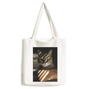 animal cat ray photograph shoot tote canvas bag shopping satchel casual handbag