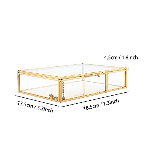 Feyarl Gold Clear Glass Photo Mail Letter Box Bill Greeting Cards Keepsake Jewelry Trinket Shadow Organizer Collection Display Case Decorative Box with Lid for Home Deco Office Table