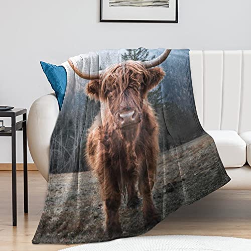 Cow Blanket Cool Highland Horned Baby Cow Cattle Enjoying The Sunrise Flannel Blanket,Ultra Soft Sofa Bed Blanket, Lightweight Travel Throw Blankets Novelty Gift Blanket Unisex,60"X50"