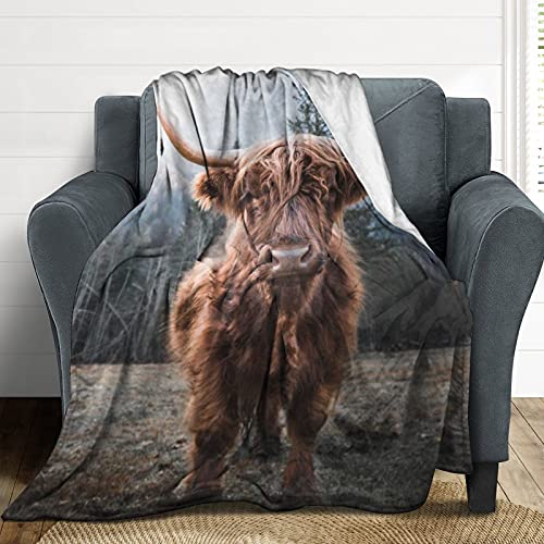 Cow Blanket Cool Highland Horned Baby Cow Cattle Enjoying The Sunrise Flannel Blanket,Ultra Soft Sofa Bed Blanket, Lightweight Travel Throw Blankets Novelty Gift Blanket Unisex,60"X50"