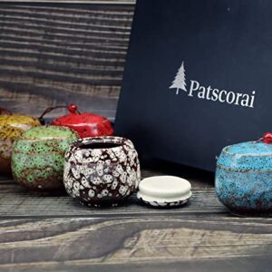 patscorai Small Urns for Human Ashes, Set of 5 Decorative Cremation Keepsakes Made of Ceramic, Mini Urns for Adult Ashe, Personal Funeral for Pet or Human Ashes(Set of 5)