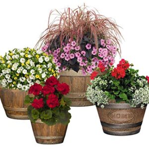 Classic Home and Garden S72CP3D-037R Whiskey Barrel Planter 3 Pack, 15", Kentucky Walnut