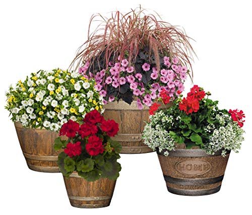 Classic Home and Garden S72CP3D-037R Whiskey Barrel Planter 3 Pack, 15", Kentucky Walnut