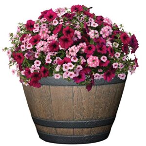 Classic Home and Garden S72CP3D-037R Whiskey Barrel Planter 3 Pack, 15", Kentucky Walnut