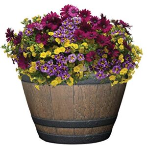 Classic Home and Garden S72CP3D-037R Whiskey Barrel Planter 3 Pack, 15", Kentucky Walnut