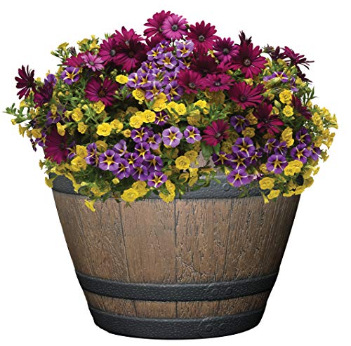 Classic Home and Garden S72CP3D-037R Whiskey Barrel Planter 3 Pack, 15", Kentucky Walnut