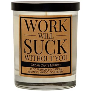 work will suck without you – going away gifts for coworkers, boss, best friend, new job gifts, coworker leaving gifts, funny candle for women, men, work bestie gifts, home office, friendship candle