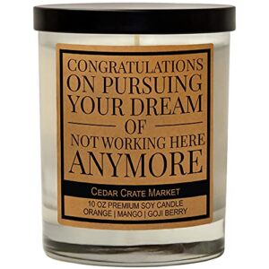 congrats on pursuing your dream of not working here anymore – congratulations, going away gift for coworker, farewell gifts for coworker, boss leaving, new job gift for women, men, funny candle gift