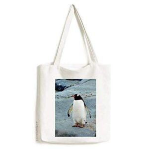antarctic stone ocean penguin nature science tote canvas bag shopping satchel casual handbag