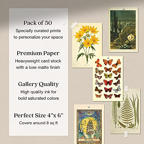50 Mini Botanical Cottagecore Collage Art Posters (4? x 6?) - Vintage Aesthetic Wall Collage Kit, for Trendy Photo Wall, College Dorm Room Decor, Cottagecore Decor, Teen Room Boho Decor, Bedroom Wall Art for Girls, includes Vintage Botanical Art Prints, B