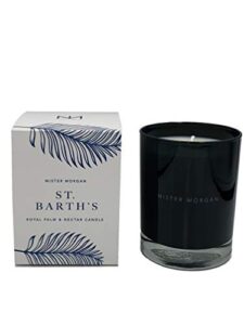 mister morgan st. barth’s royal palm and nectar candle, 11 ounces