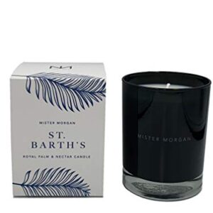 Mister Morgan St. Barth's Royal Palm and Nectar Candle, 11 Ounces