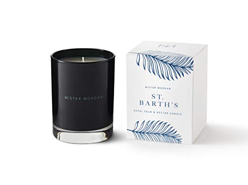 Mister Morgan St. Barth's Royal Palm and Nectar Candle, 11 Ounces