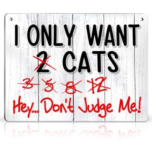bigtime signs cat sign – i only want cats – cat decor funny gag gifts for window, office, bedroom decor – funny cat gifts for indoor or outdoor use – best cat gifts for cat lovers and cat decorations
