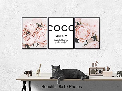 Fashion design Inspirational Quote - Glam Room Decor - Luxury Fashion Home Decor - Glamour Wall Art - Designer Wall Decor for Women - Elegant Couture Gift - Boho Poster Picture print Set