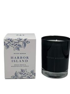 mister morgan harbor island, beach grass and bougainvillea candle, 11 ounces